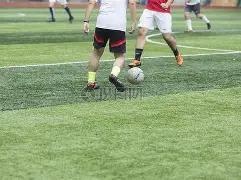 国篮实力大,双归化球员,即将加盟,227皇冠体育,227皇冠体育app,227皇冠体育官网,227皇冠体育下载,227皇冠体育入口